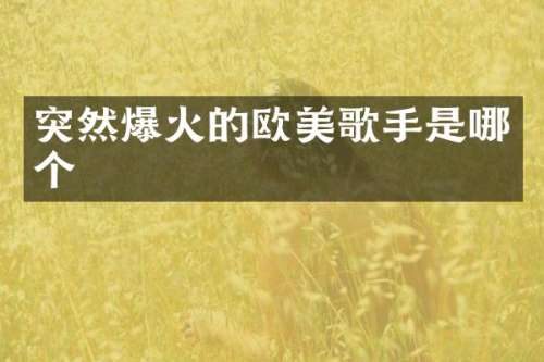 突然爆火的欧美歌手是哪个