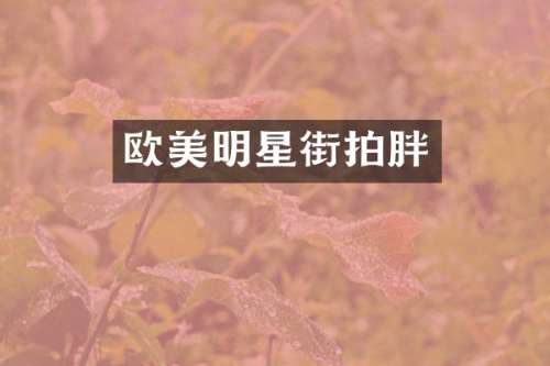 欧美明星街拍胖