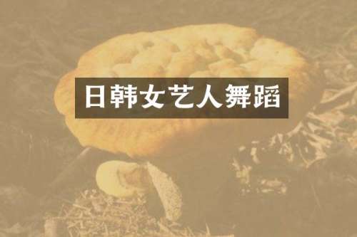 日韩女艺人舞蹈