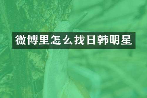 微博里怎么找日韩明星