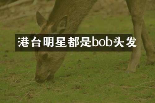 港台明星都是bob头发
