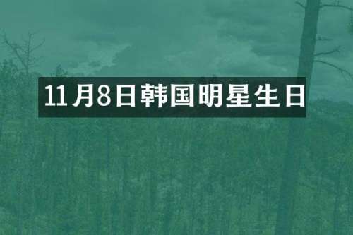 11月8日韩国明星生日
