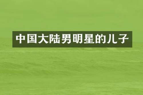 中国大陆男明星的儿子