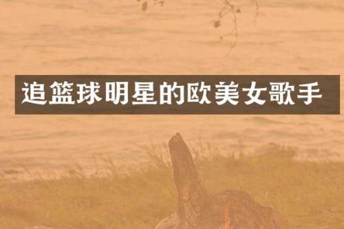 追篮球明星的欧歌手