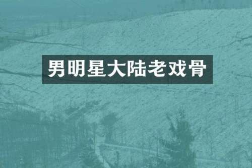 男明星大陆老戏骨