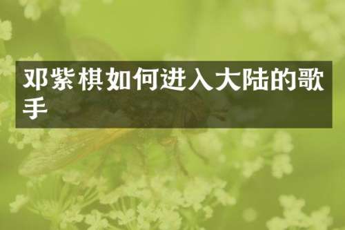 邓紫棋如何进入大陆的歌手