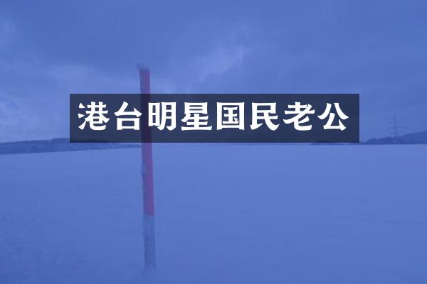 港台明星国民老公