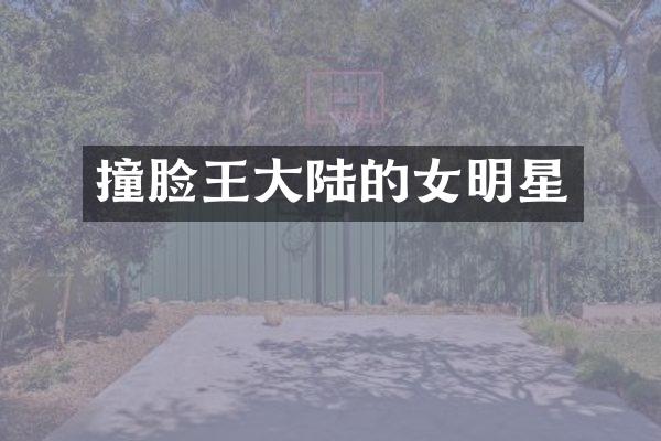 撞脸王大陆的女明星