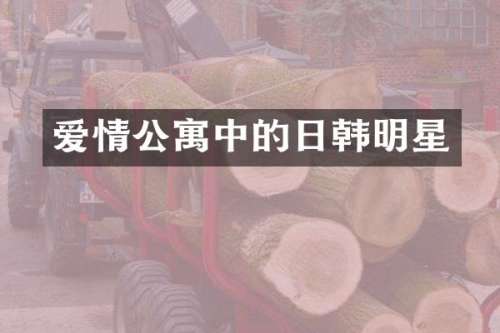 爱情公寓中的日韩明星