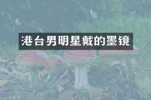 港台男明星戴的墨镜