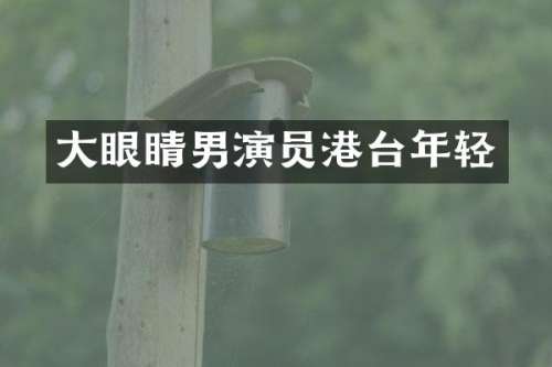 大眼睛男演员港台年轻