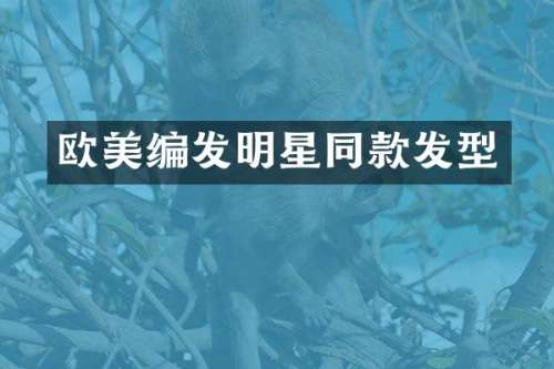欧美编发明星同款发型