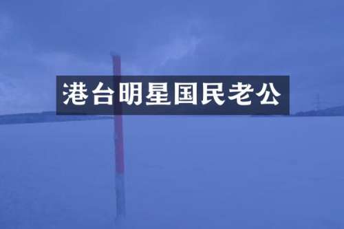 港台明星国民老公