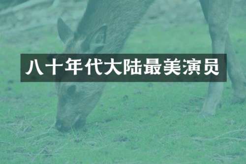 八十年代大陆最美演员