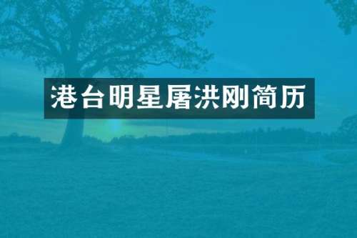 港台明星屠洪刚简历
