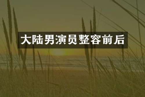 大陆男演员整容前后