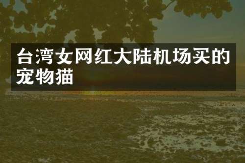 台湾女网红大陆机场买的宠物猫