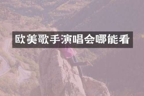 欧美歌手演唱会哪能看