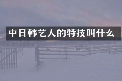 中日韩艺人的特技叫什么
