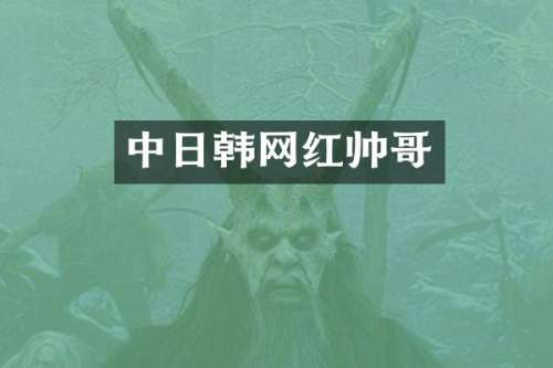 中日韩网红帅哥