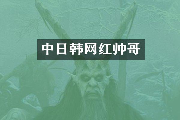 中日韩网红帅哥