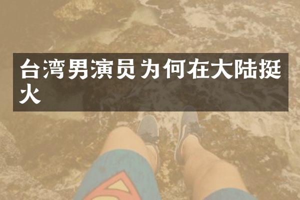 台湾男演员为何在大陆挺火