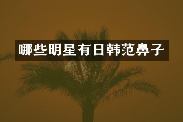 哪些明星有日韩范鼻子