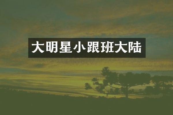 大明星小跟班大陆