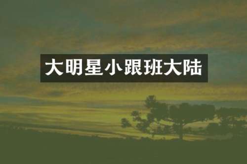 大明星小跟班大陆