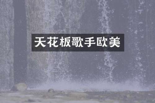 天花板歌手欧美