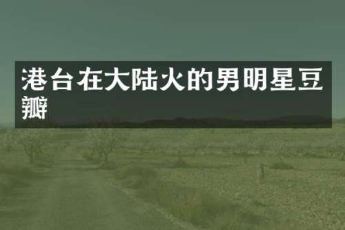 港台在大陆火的男明星豆瓣