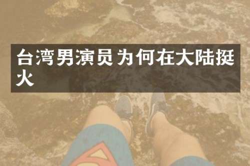 台湾男演员为何在大陆挺火