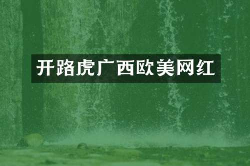 开路虎广西欧美网红