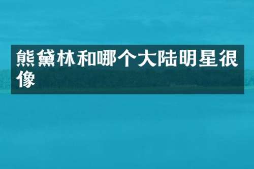 熊黛林和哪个大陆明星很像