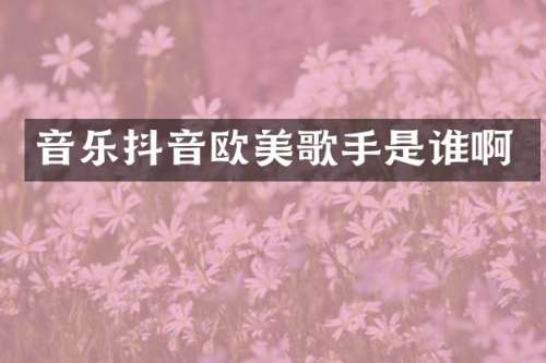 音乐抖音欧美歌手是谁啊