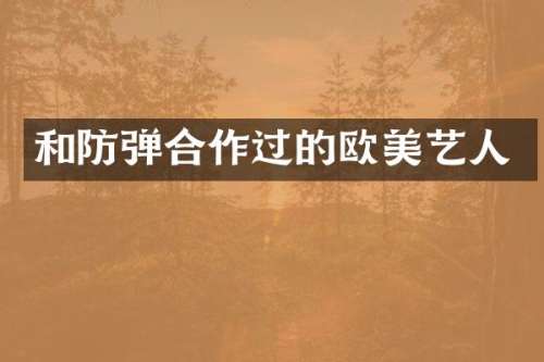 和合作过的欧美艺人