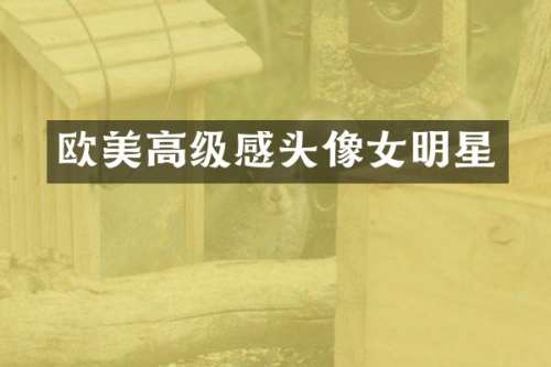 欧美高级感头像女明星