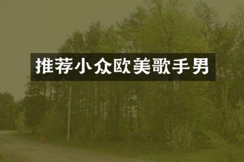 推荐小众欧美歌手男