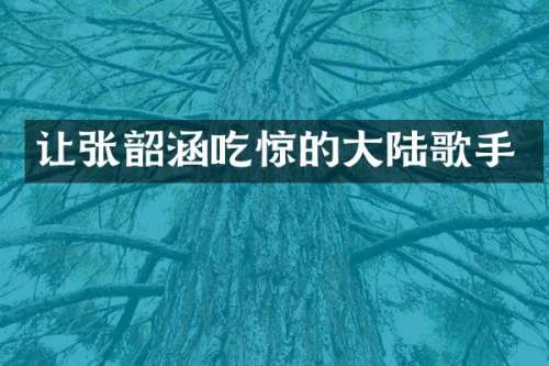 让张韶涵吃惊的大陆歌手