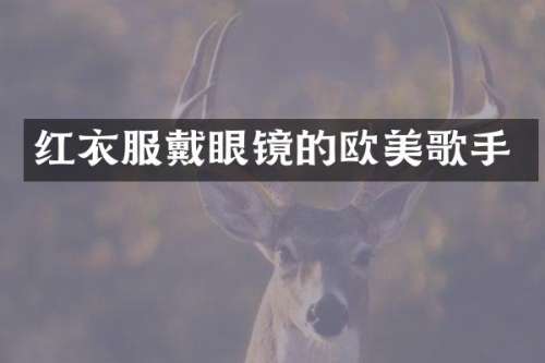 红衣服戴眼镜的欧美歌手