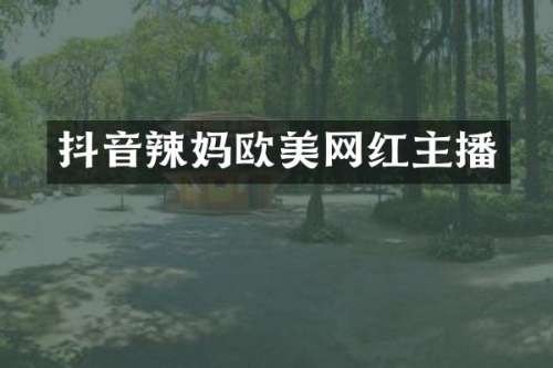 抖音辣妈欧美网红主播