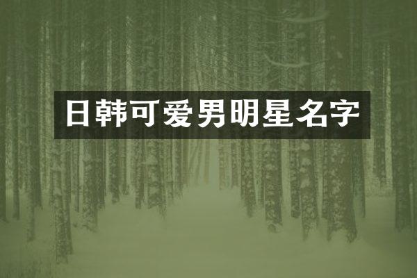 日韩可爱男明星名字