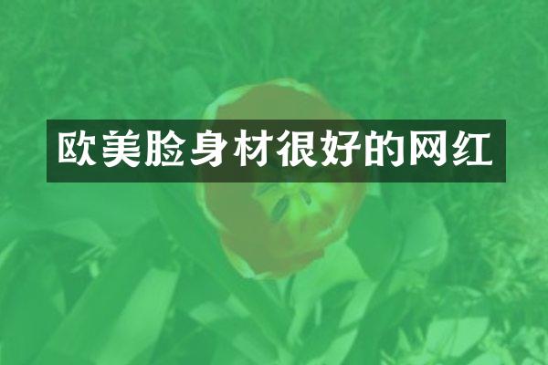 欧美脸身材很好的网红