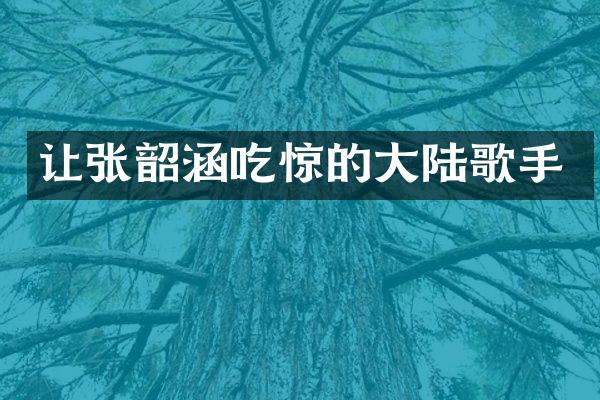 让张韶涵吃惊的大陆歌手