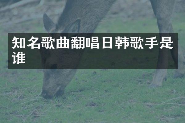 知名歌曲翻唱日韩歌手是谁