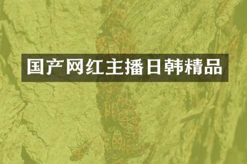国产网红主播日韩精品