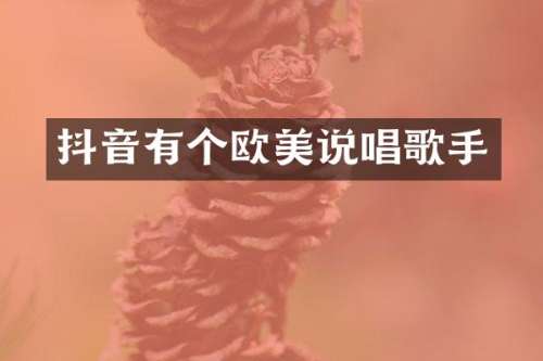 抖音有个欧美说唱歌手