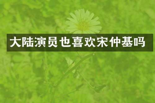 大陆演员也喜欢宋仲基吗