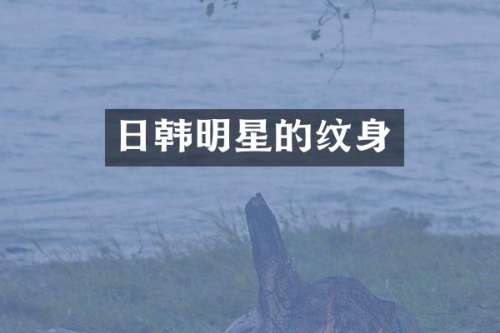 日韩明星的纹身