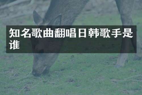 知名歌曲翻唱日韩歌手是谁